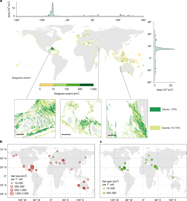 Global high-resolution mapping of seagrass to support conservation