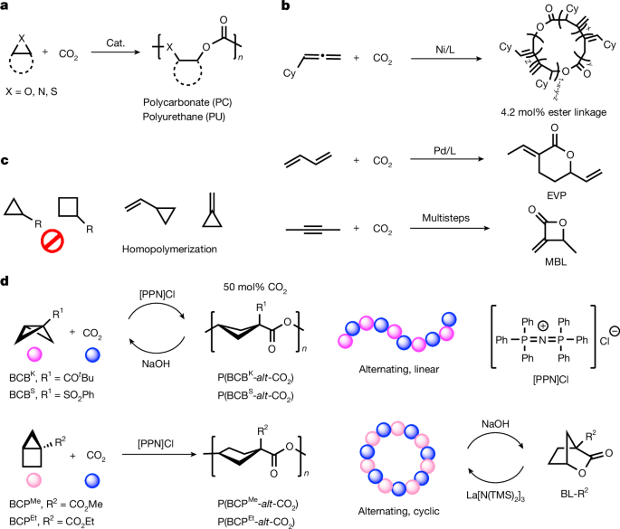 Alternating CO2 and bicycloalkane copolymerization to circular polyesters