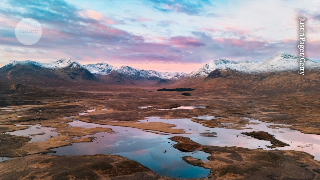 Detailed maps of European wetlands reveal overlooked patches of ecosystems