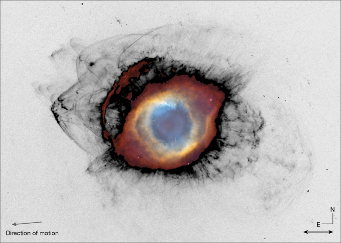 Numerous bow shocks in the outer Helix Nebula