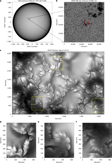 Ubiquitous Kelvin–Helmholtz instabilities driving plasma mixing on the Sun