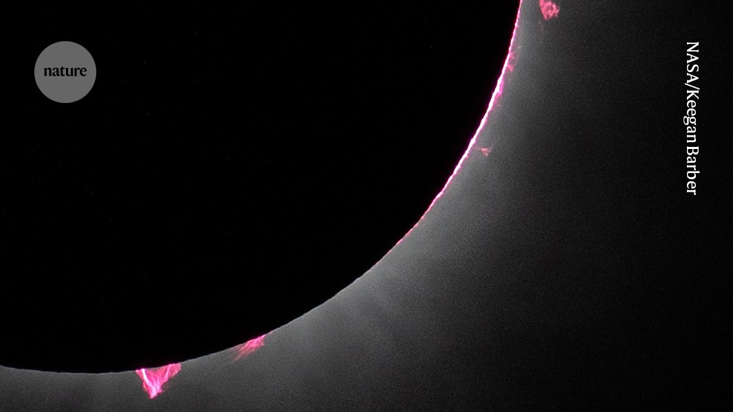 Solar eclipse offers rare chance to solve Sun’s magnetic-field mysteries